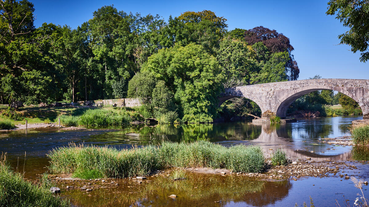 Suir Blueway, Kilsheelan Village, Co Tipperary