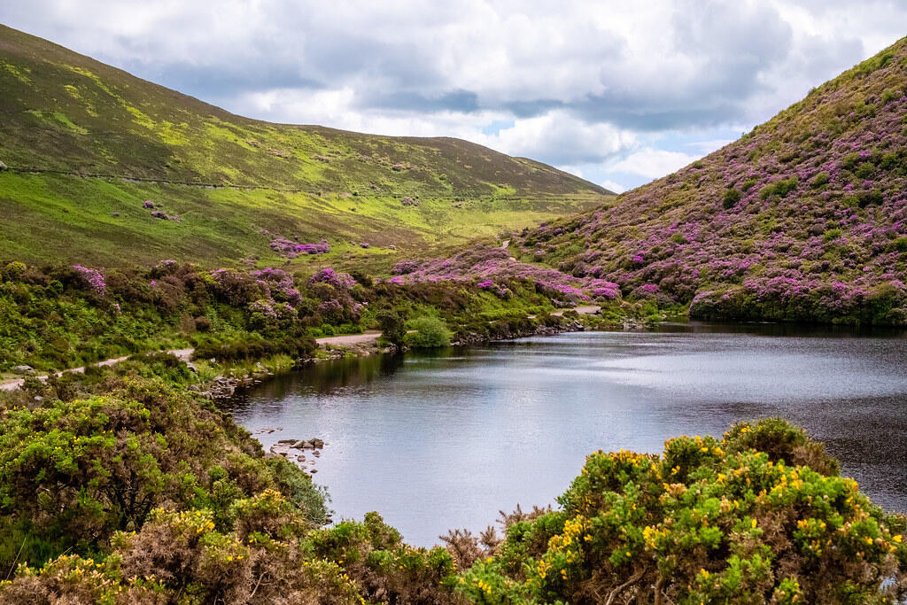 The Vee Drive, The Vee, Co Tipperary